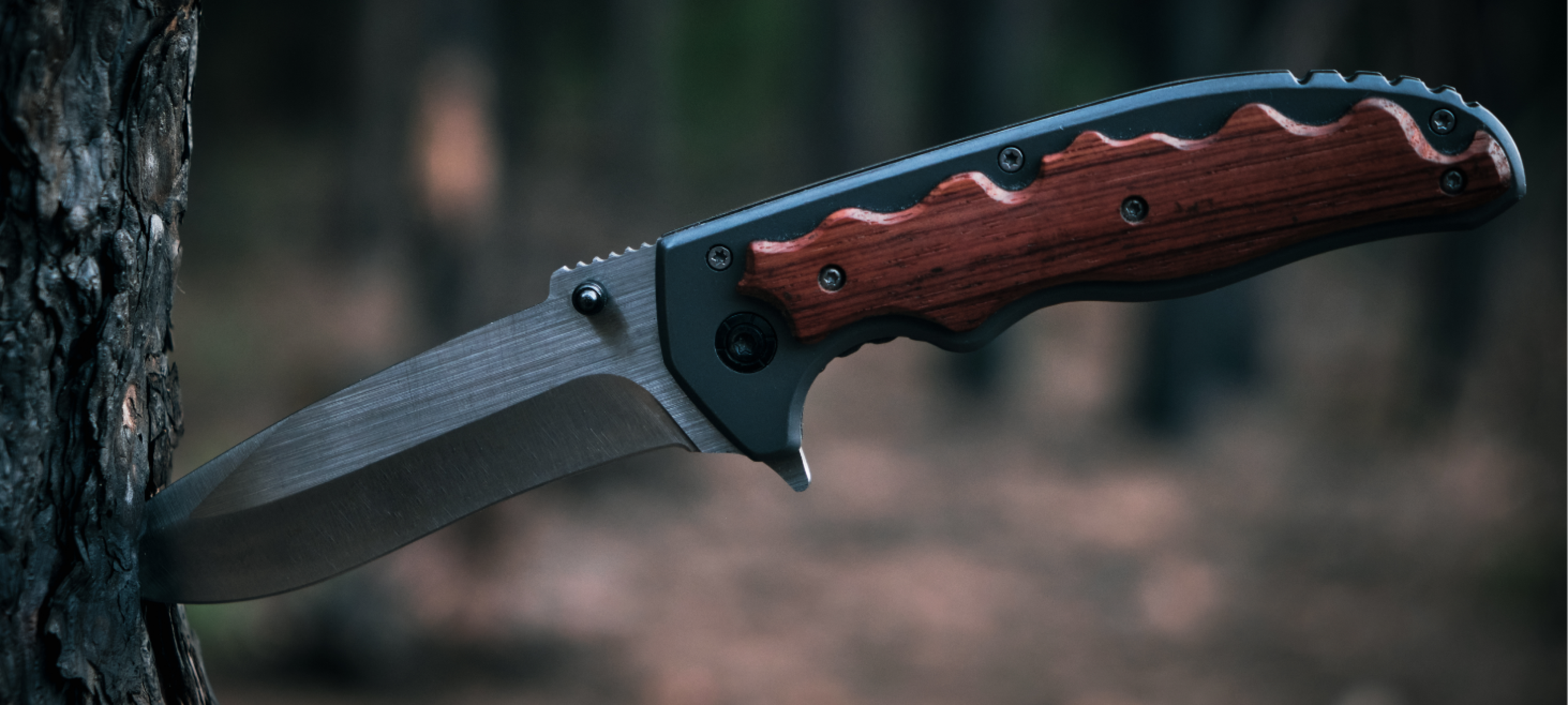 Best Survival Knife with Firestarter – A Guide to Choose the Best